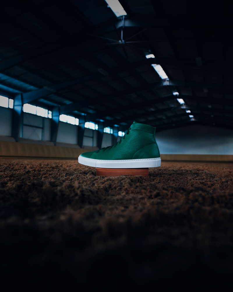 RAY LIMITED EDITION - Forest